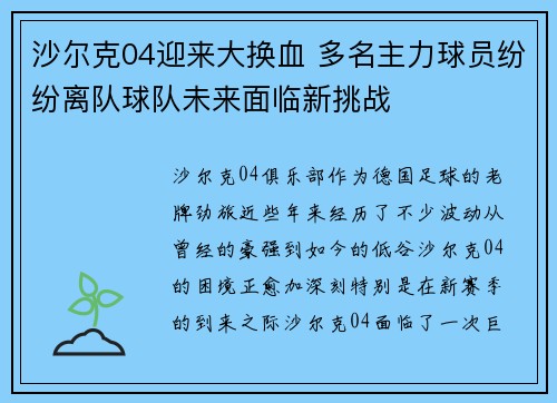 沙尔克04迎来大换血 多名主力球员纷纷离队球队未来面临新挑战